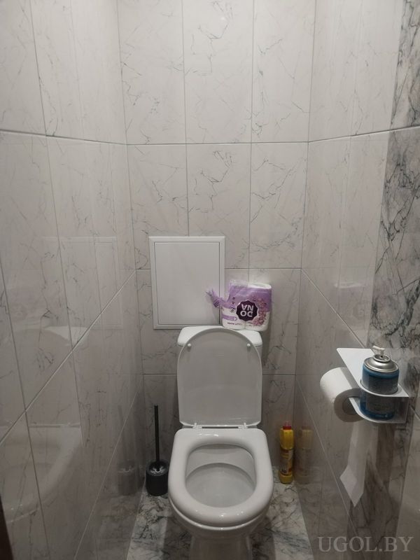 Маленький санузел с унитазом, мраморной плиткой, фиолетовой туалетной бумагой и освежителями на полу.