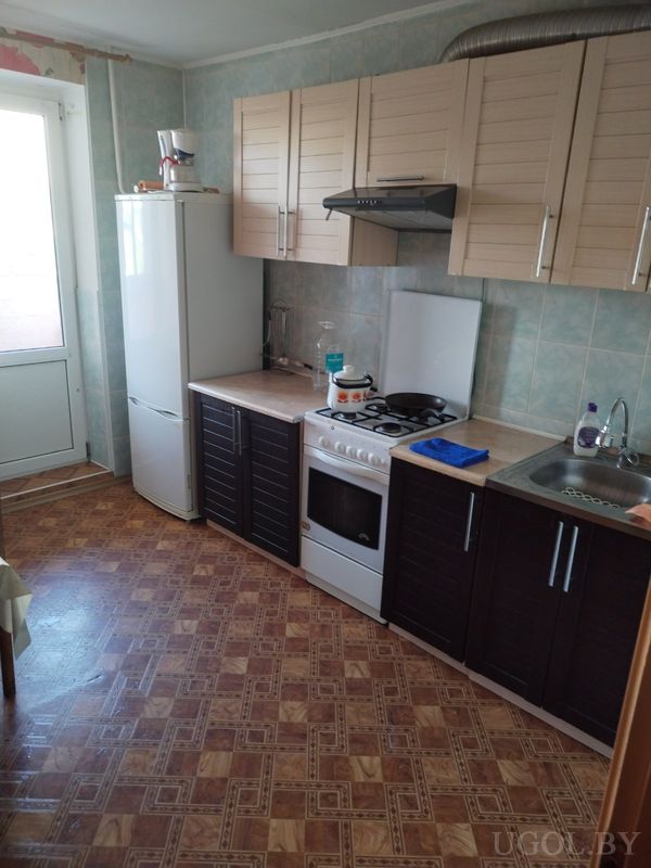 Компактная кухня с плитой, вытяжкой, мойкой, белым холодильником и тёмными нижними шкафами.