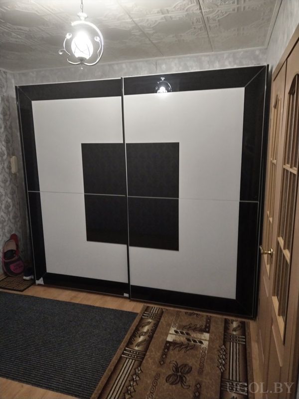 Интерьер прихожей с большим шкафом с чёрно‑белыми дверями, деревянной дверью и ковром на полу.