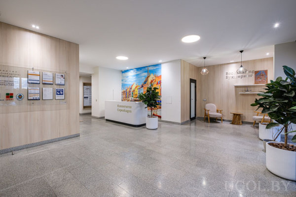 Просторный холл с деревянными панелями, стойкой ресепшена, зелёными растениями, зоной ожидания и ярким изображением домов Копенгагена.
