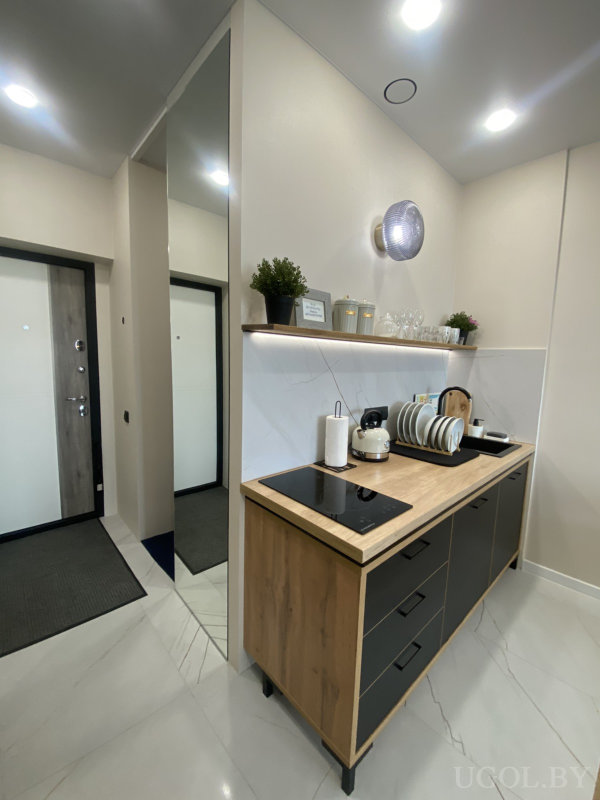 Индукционная плита, сушилка, полка с банками и растениями, мраморный фартук и светлая плитка.