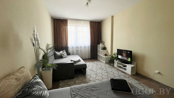 Кровать с пледом, серый диван у окна, ТВ с новостями, ковёр и комнатные растения.