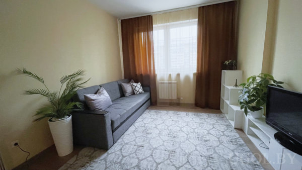 Серый диван, белая тумба с ТВ, полки с растениями, окно с тюлем и тёмными шторами.