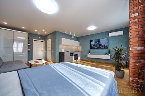 Открытая студия с кроватью, диваном, кухней вдоль стены, телевизором и растениями на фоне синей стены.