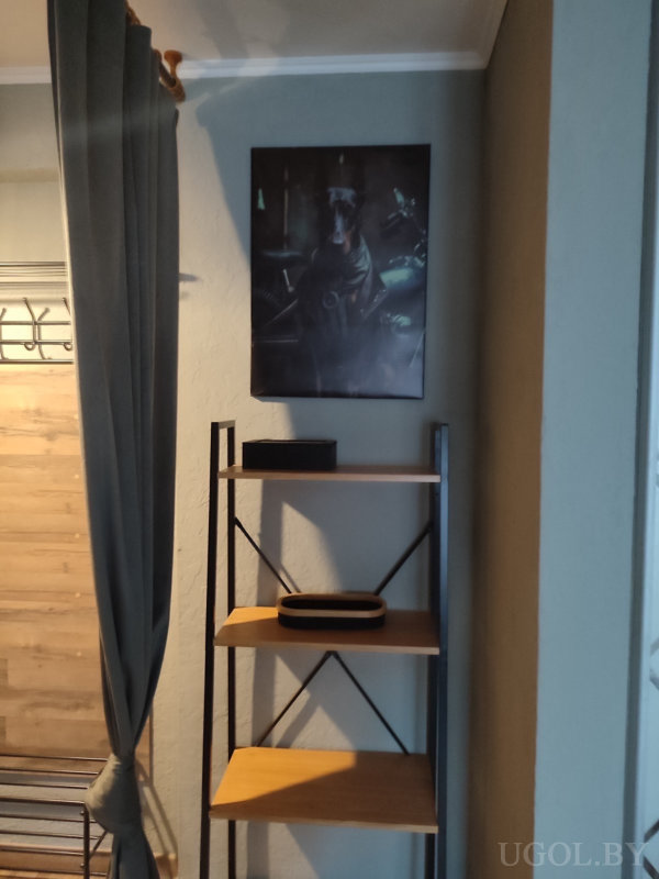 Угол комнаты с металлическим стеллажом, картиной собаки в кожаной куртке на фоне мотоцикла и деревянной панелью с крючками.