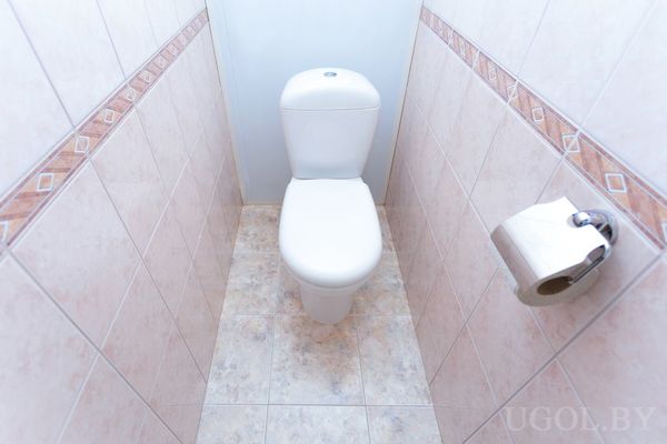 Компактный санузел с белым унитазом, светлой плиткой и держателем для туалетной бумаги.