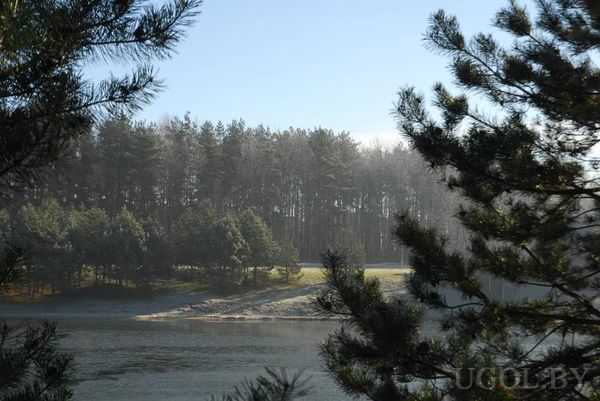 Природный пейзаж с озером, соснами и утренним туманом на фоне леса.