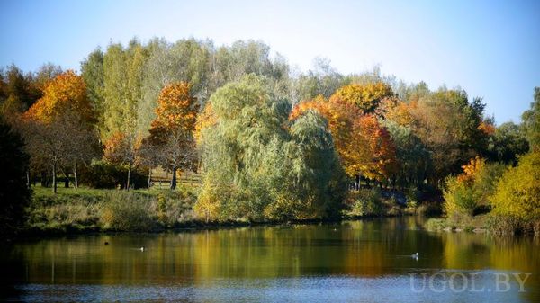 Пейзаж с озером, деревьями в жёлтых и красных тонах и птицами на воде.