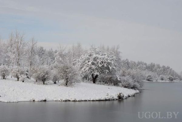 Зимний пейзаж с озером, заснеженными деревьями и спокойной водой.