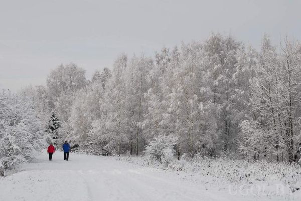 Заснеженный лес с тропинкой, двумя людьми в ярких куртках и густыми деревьями.