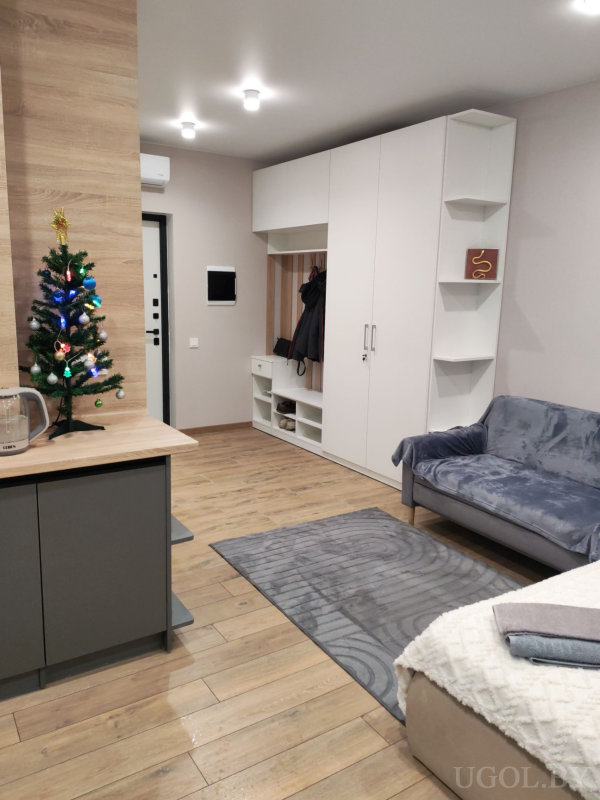 Комната с диваном, кроватью, встроенным шкафом и мини-ёлкой на кухонной стойке.
