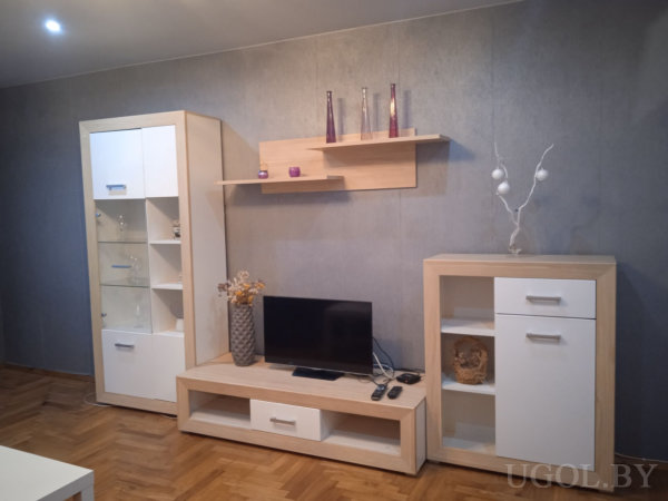 Минималистичный интерьер с мебелью из светлого дерева и белыми панелями, телевизором, декоративными элементами и серой стеной.