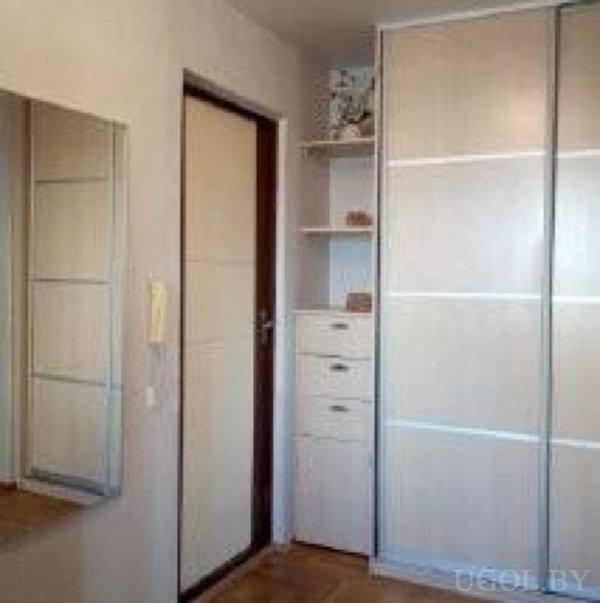 Светлая дверь, зеркало, шкаф-купе и открытые полки с декором в современном минималистичном стиле.