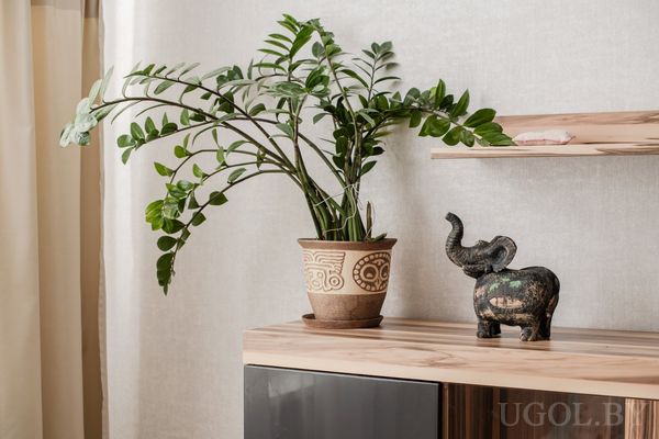 Композиция на деревянной поверхности с зелёным растением в этническом горшке и тёмной фигуркой слона.