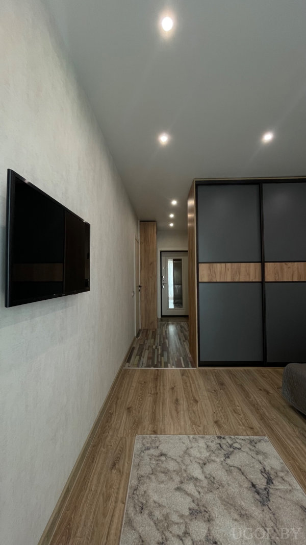 Деревянный пол с ковриком под мрамор, телевизор на стене, шкаф с матовыми чёрными и деревянными панелями, зеркало в торце.