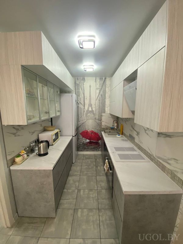 Галерейная кухня с белыми и серыми фасадами, техникой и фреской с Эйфелевой башней и зонтом.