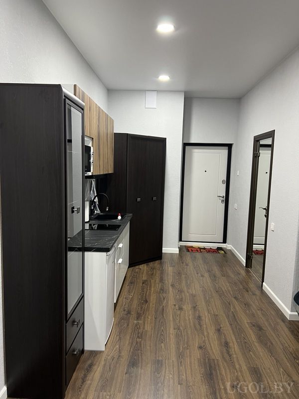 Узкая кухня с тёмными фасадами, чёрной столешницей, белой дверью и зеркалом в коридоре.