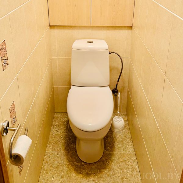 Узкое помещение с унитазом, ёршиком, гибким шлангом, декоративной плиткой и шкафом над бачком.