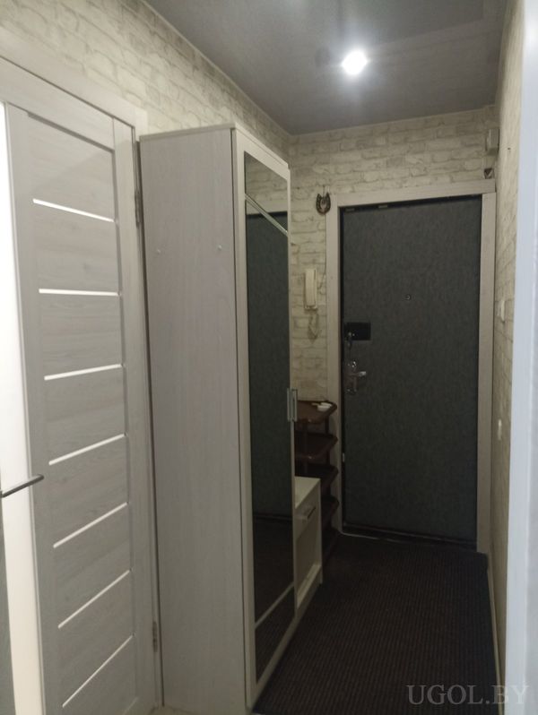 Интерьер с серой входной дверью, белой межкомнатной дверью, зеркальным шкафом и полкой с предметами.