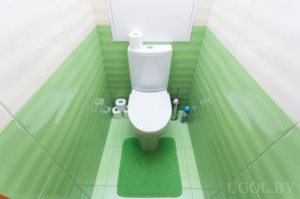Небольшой туалет с белым унитазом, зелёной плиткой и ковриком, туалетной бумагой и освежителями.