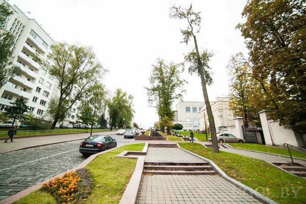 Городская улица с пешеходной аллеей, машинами, высокими деревьями и жилыми домами по обе стороны.