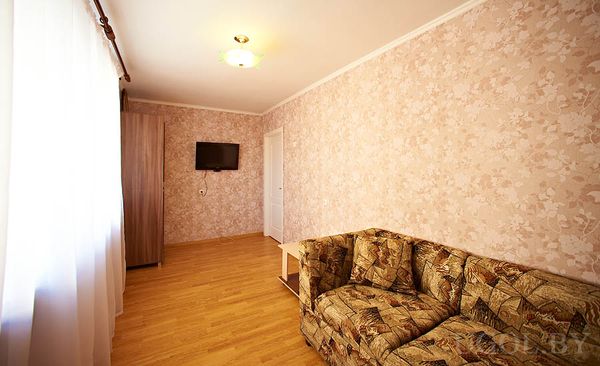 Компактная зона отдыха, диван в теплых тонах, плоский телевизор, шкаф, окно с тюлем, чистый ламинат, спокойная атмосфера.