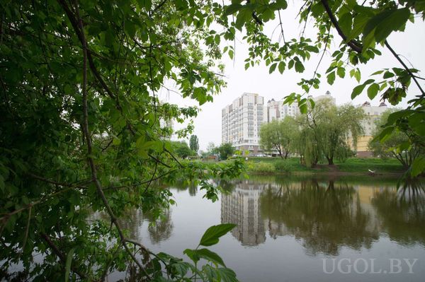 Пруд в городе
