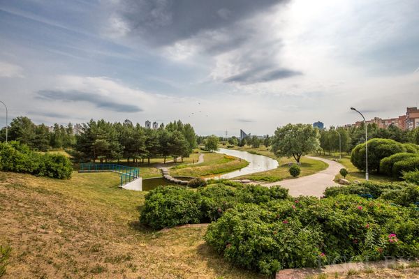 Прекрасный парк рядом