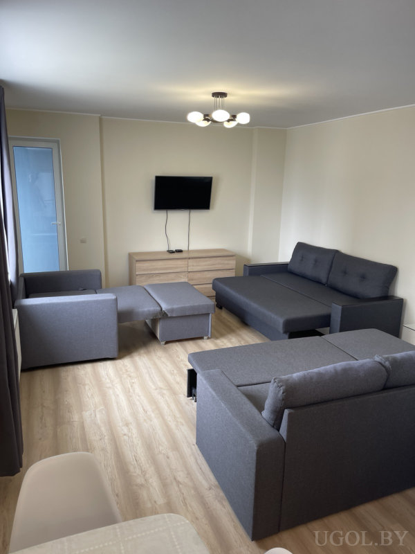 Интерьер с серым диваном, креслом и пуфами, телевизором на стене, дверью с матовым стеклом и светлым деревянным полом.