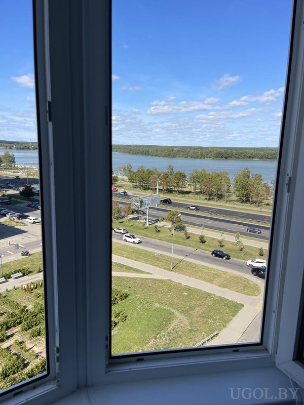 Вид через многосекционное окно на дорогу с машинами, ухоженный парк и реку, за которой тянется густой лес под ясным небом.