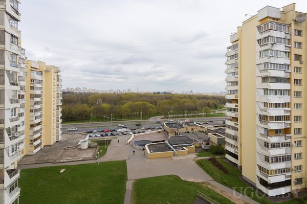 Вид из окна на парк