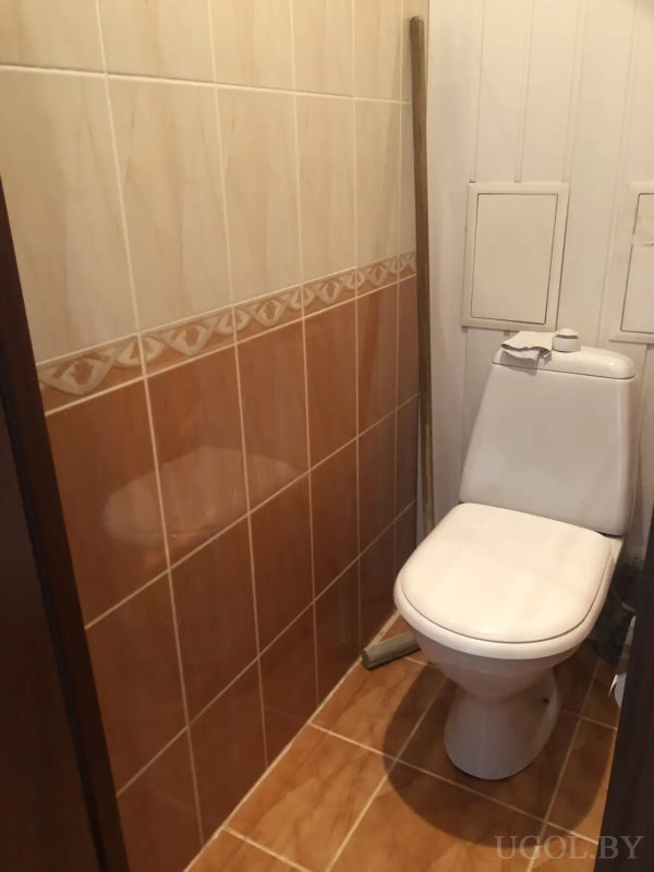 Две деревянные двери с матовыми вставками, светлый ламинат и картина над правой дверью.