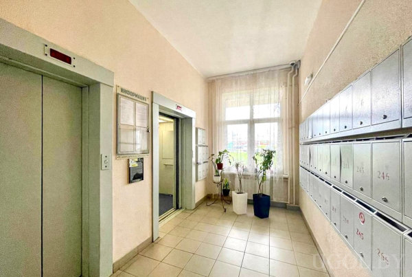 Общественная зона с лифтами, доской объявлений, номерами квартир и растениями у окна.