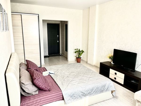 Светлая спальня с серым покрывалом, телевизором на тумбе, большим шкафом‑купе и растением у входа.