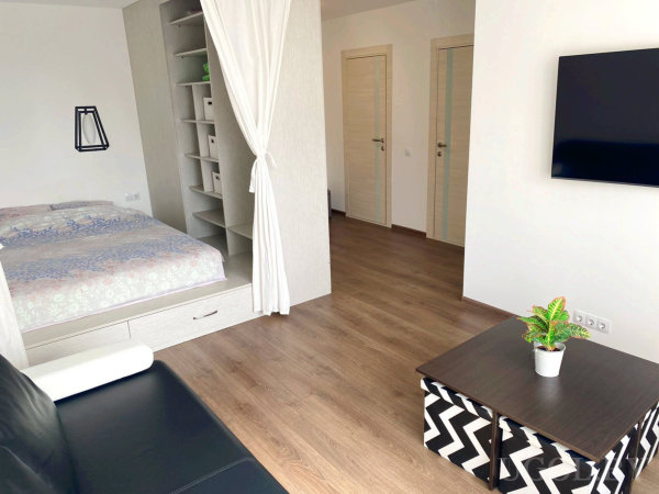 Комната с кроватью, диваном, столом, растением, телевизором и двумя дверями.