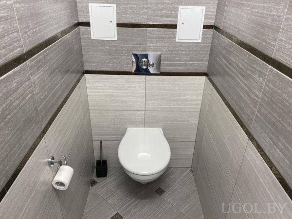 Компактная зона с унитазом, щёткой, панелями, шкафом и декоративной отделкой.