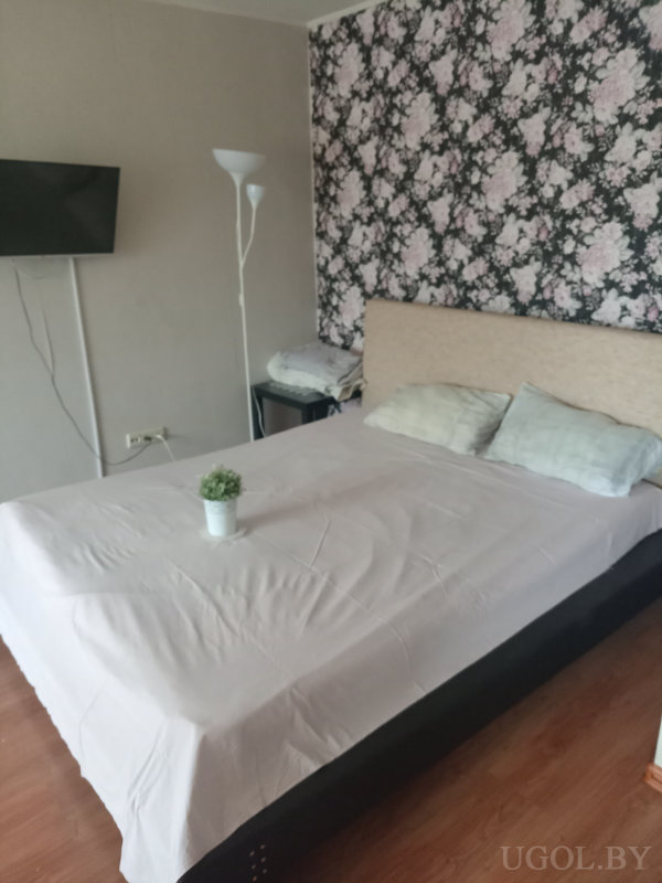 Кровать с декоративным растением на фоне стены с чёрно-розовыми цветами, рядом торшер и телевизор.