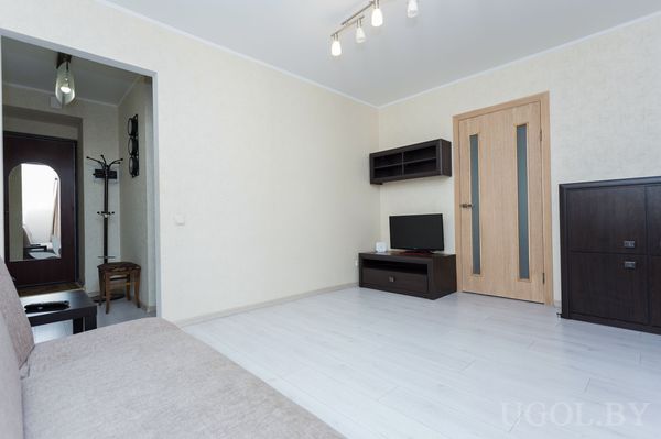 Современная гостиная с бежевым диваном, телевизором на тумбе, деревянной дверью и полками с декором.