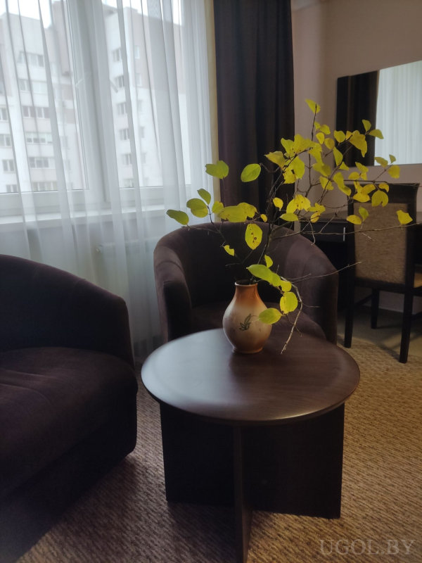 Два тёмных кресла, круглый деревянный стол с вазой и веткой, большое окно с тюлем и шторами, в глубине зеркало и рабочий стол.