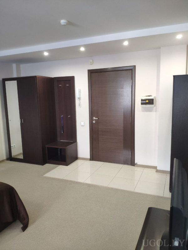 Центральная деревянная дверь, шкаф и вешалка с полкой, тумба, ковровое покрытие у кровати, телевизор и светлая плитка у входа.