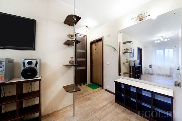 Комната с телевизором, зеркалом на стене, тёмной тумбой и дверью с матовым стеклом.