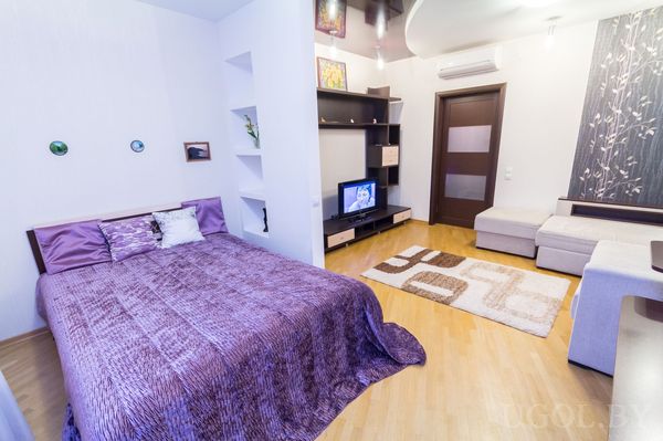 Интерьер с кроватью, диваном, ТВ-зоной, перегородкой, ковром, декором и кондиционером.