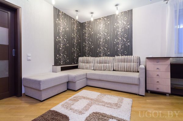 Зона отдыха с диваном, ковром, точечным светом, шкафом с дверями и раздвижной перегородкой.