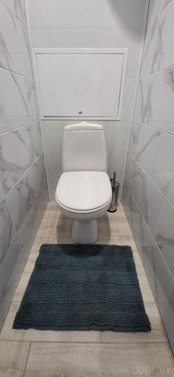 Узкое помещение с унитазом, тёмным ковриком, металлическим ёршиком и встроенной панелью над бачком.