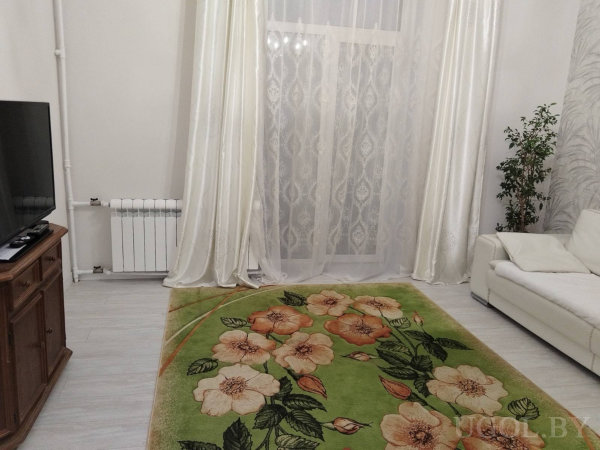 Интерьер с диваном, ковром, телевизором, тюлем, растением и радиатором под окном.