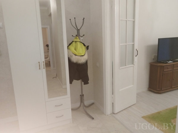 Зона с шкафом, вешалкой, открытой дверью, телевизором и фрагментом зелёного ковра.