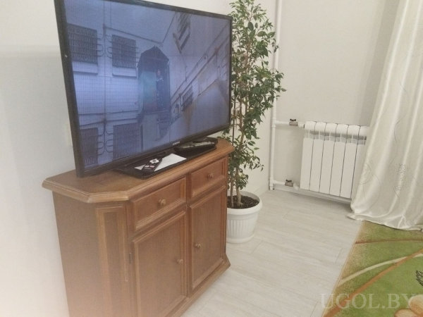 Комната с телевизором, растением, радиатором, тюлем и фрагментом ковра с узором.