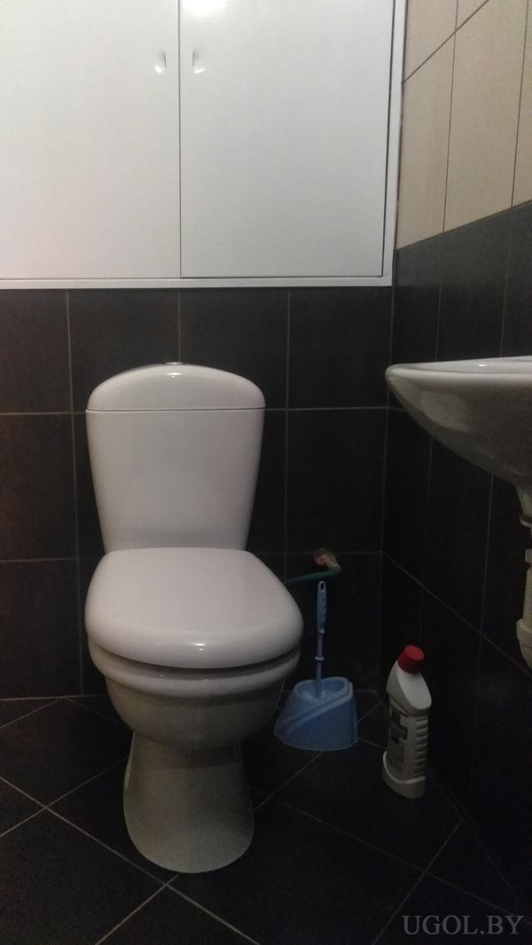 Белый унитаз, тёмная плитка, подвесной шкаф и аксессуары на фоне светлой верхней части стены.