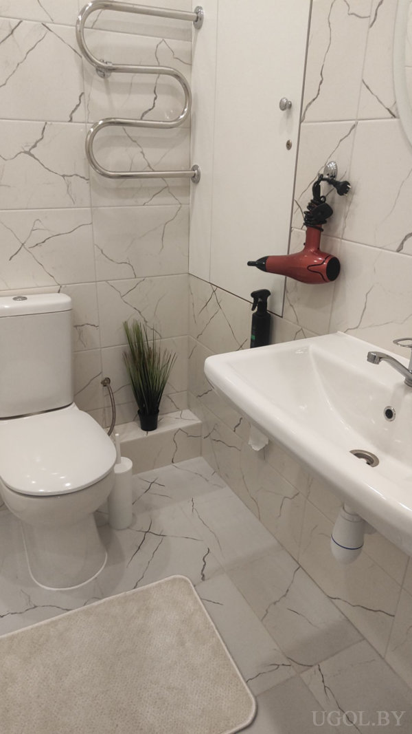 Белый унитаз и раковина с зеркальным шкафом, на стене полотенцесушитель, красный фен в держателе, чёрный дозатор на раковине, растение в нише и коврик на полу.