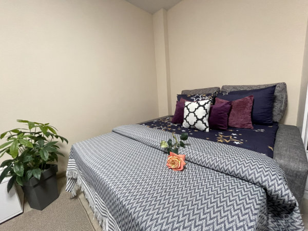 Серое изголовье, синее покрывало в зигзаг, фиолетовые и чёрные подушки, роза на кровати и напольное растение.